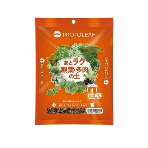 vg[t ƃNϗtE̓y4p 0.6L