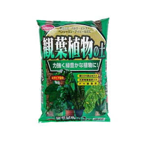 TAhz[v ϗtA̓y XerAz 12L