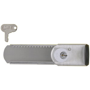 �͂���[�ʌ��t�i���R�^�p�b�N�j DSH15 ���[�J�[���� ���ԕi�E�L�����Z���s�y�����i�Ƃ̓����w���s�z