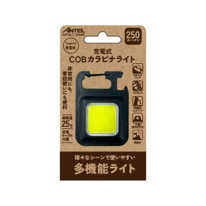 Ae ANTEL COBJriCg250lm [d typeC RpNg HX10LT-036BK