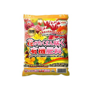 K[fCg Ԃ炭L@엿 500g