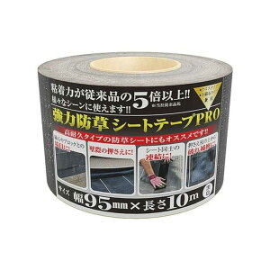 {}^C ͖hV[gpe[vPRO 1