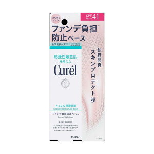 ԉ L Zێ t@fSh~x[X 30g