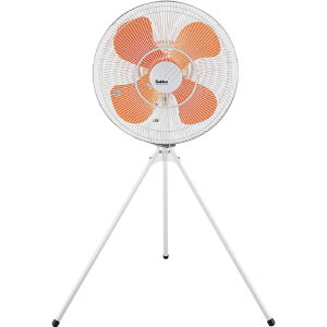 H X^h^CvMS P200V nl45cm [J[ ԕiELZsyiƂ̓wsz