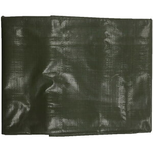 ^JCN 4000 ODO[V[g 2.7m×3.6m [J[ ԕiELZsyiƂ̓wsz