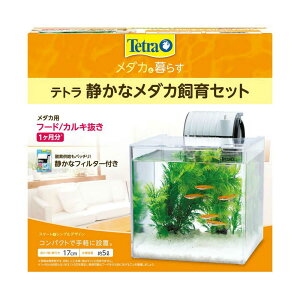 XyNguYWp eg Âȃ_JZbgSF-17KF 1