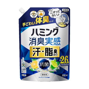 ԉ n~OL EL^Cv NAVgX ߂p 930ml