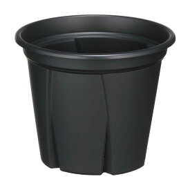 アップルウェアー 根っこつよし 6号 ブラック