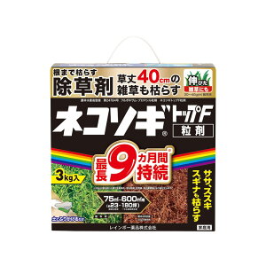 i摜