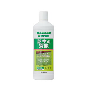 nC|lbNX Ő̉t 800ml