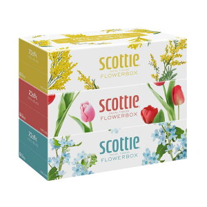 { NVA XRbeB eBV[ t[{bNX 250g×3 y18Zbgz