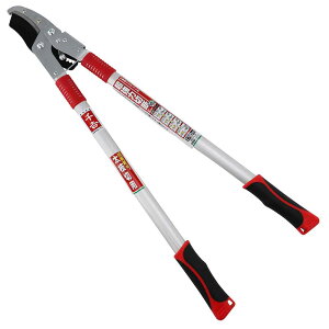 `Fbg} SGFL-3 [J[ ԕiELZsyiƂ̓wsz