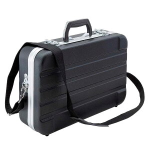 ABSP[XABST-428 ABST-428 [J[ ԕiELZsyiƂ̓wsz