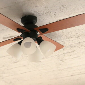 �V�[�����O�t�@�� 4�� �u���b�N BIG-101-BK ���[�J�[�������ԕi�E�L�����Z���s�y�����i�Ƃ̓����w���s�z