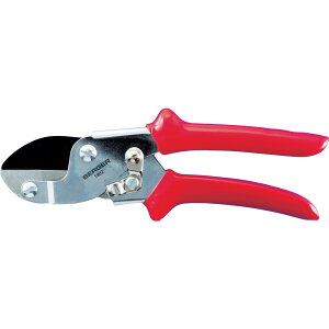 Berger 1902 195mm [J[ ԕiELZsyiƂ̓wsz