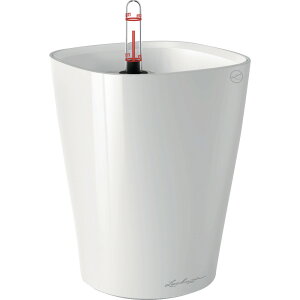 Lechuza ʋv^[ feB[j ye1.2L [J[ ԕiELZsyiƂ̓wsz