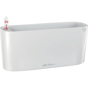 Lechuza ʋv^[ f^20 ye5L [J[ ԕiELZsyiƂ̓wsz