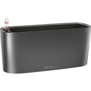 Lechuza ʋv^[ f^20 ye5L [J[ ԕiELZsyiƂ̓wsz