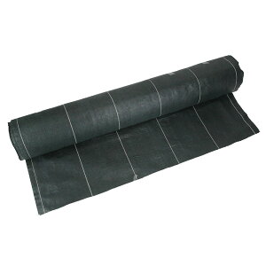 xhV[g1X50m[J[ԕiELZsyiƂ̓wsz