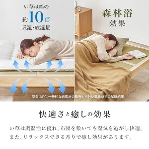 gȒP VOxbh MB-5146S-NAN} [J[ ԕiELZsyiƂ̓wsz