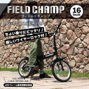 FIELD CHAMP 16C`܏ݎ]BK(bNt) [J[ ԕiELZsyiƂ̓wsz