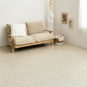 y54z^tA^C SBE 30X60X0.08 [J[ ԕiELZsyiƂ̓wsz