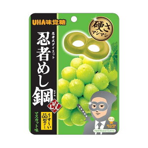◆味覚糖 忍者めし鋼 マスカット味 45g 【10個セット】