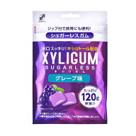 ◆SUN STYLE サンスタイル キシリガム グレープ パウチ 120g 【6個セット】