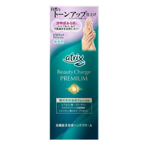 ԉ AgbNX r[eB[`[Wv~A g[Abv nhN[  60g