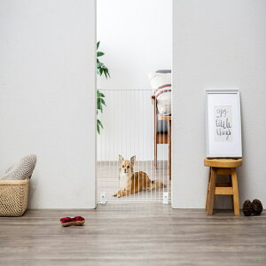 ACXI[} ybgtFX P-SPF-66