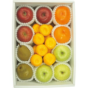 y|Cg10{zyΕz~̉ʕ5l[J[ ԕiELZsyiƂ̓wsz