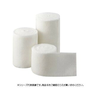 éEeуzCgRbg 4 304 [J[ ԕiELZsyiƂ̓wsz