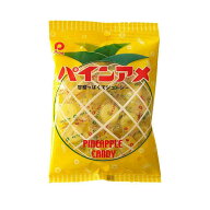 ◆パイン パインアメ 110g 【6個セット】