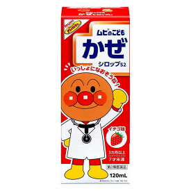 【第2類医薬品】池田模範堂 ムヒのこどもかぜシロップS2 120ml【セルフメディケーション税制対象】