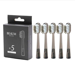 �A�s�b�N�X BEAUM �d�����u���V�����u���V AET-B08GY��p BEAUM AET-B8000 5�{��