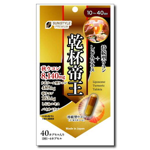 ��SUNSTYLE ���t�鉤 40�� �y3�Z�b�g�z