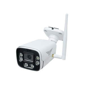 IP�h�Ɠ��o���b�g�J���� WTW-EGR2600GPWX �y�����i�z�ԕi�E�L�����Z���E�����i�Ƃ̓����w���͕s��