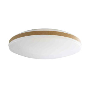 �g��d�C �A�r�e���b�N�X LED�V�[�����O���C�g ����10�i�K�E���F11�i�K �ؖڒ� 12���p ALC12B