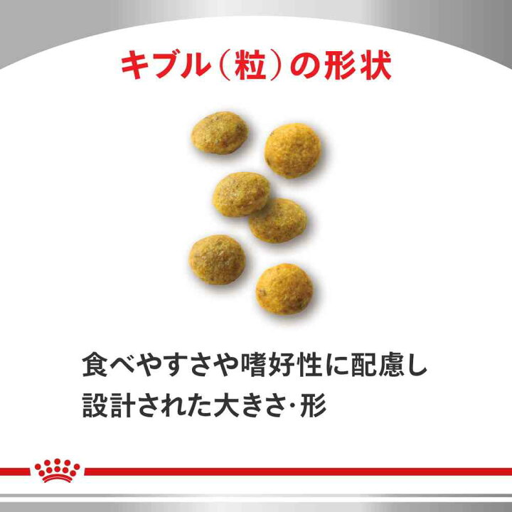 楽天市場】猫用 腎臓サポート 4kgx1【ロイヤルカナン食事療法食 
