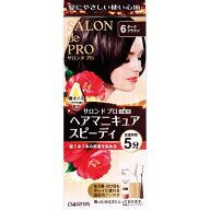 サロンドプロ ヘアマニキュア・スピーディ6＜ダークブラウン＞ ヘアマニキュア100g・リムーバー10ml・プ…