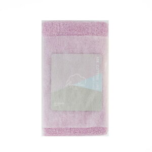  GA[Rbg tFCX^I ACST-150 CgsN ԕis