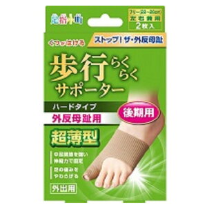 ~mE w s炭炭T|[^[ n[h^Cv Ep t[TCY (22`26cm) x[W 2