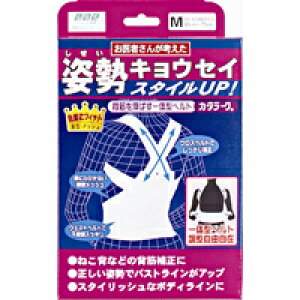 �R�c���J�^���[�N M 1����