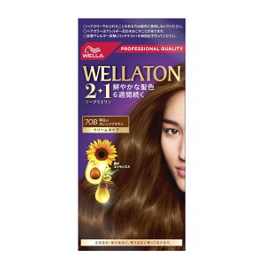 y򕔊OizEGg[2{1 N[^Cv 7OB 邢IWuE 60g+60g+7.3ml