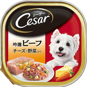 CE28N �V�[�U�[ ��I�r�[�t �`�[�Y�E��ؓ��� 100g