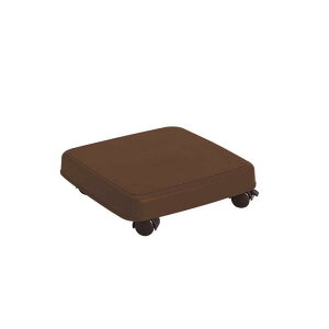 TR[vX`bN LX^[t NS S 1