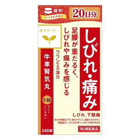 【第2類医薬品】クラシエ薬品 漢方セラピー 牛車腎気丸エキス錠（ゴシャジンキガン） 240錠