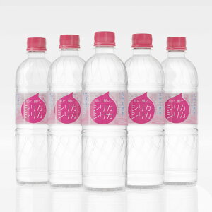 美いね! シリカシリカ 500ml×24本 PET