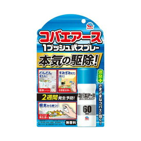 アース製薬 おすだけ コバエアース スプレー 60回分 13.2ml