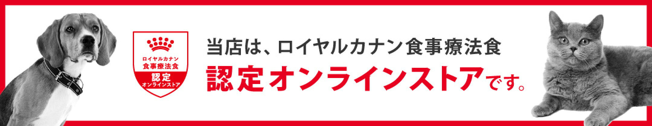 ファイン 1001_1031